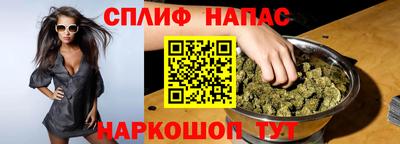 шишки Тара