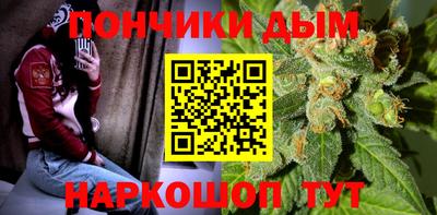 шишки Тара