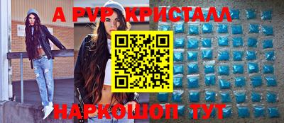 шишки Тара