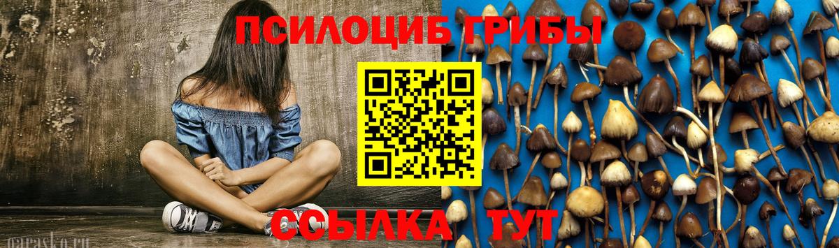 Нефтекамск  Псилоцибиновые грибы мухоморы  Вход с VPN 