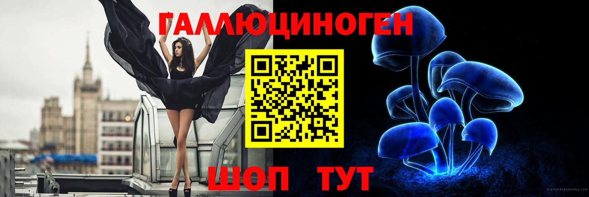 Галлюциногенные грибы Psilocybine cubensis Нефтекамск